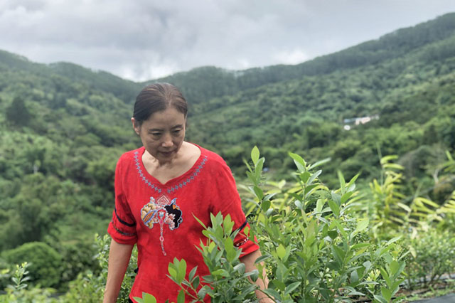 電銷卡如何有效防止暫停服務